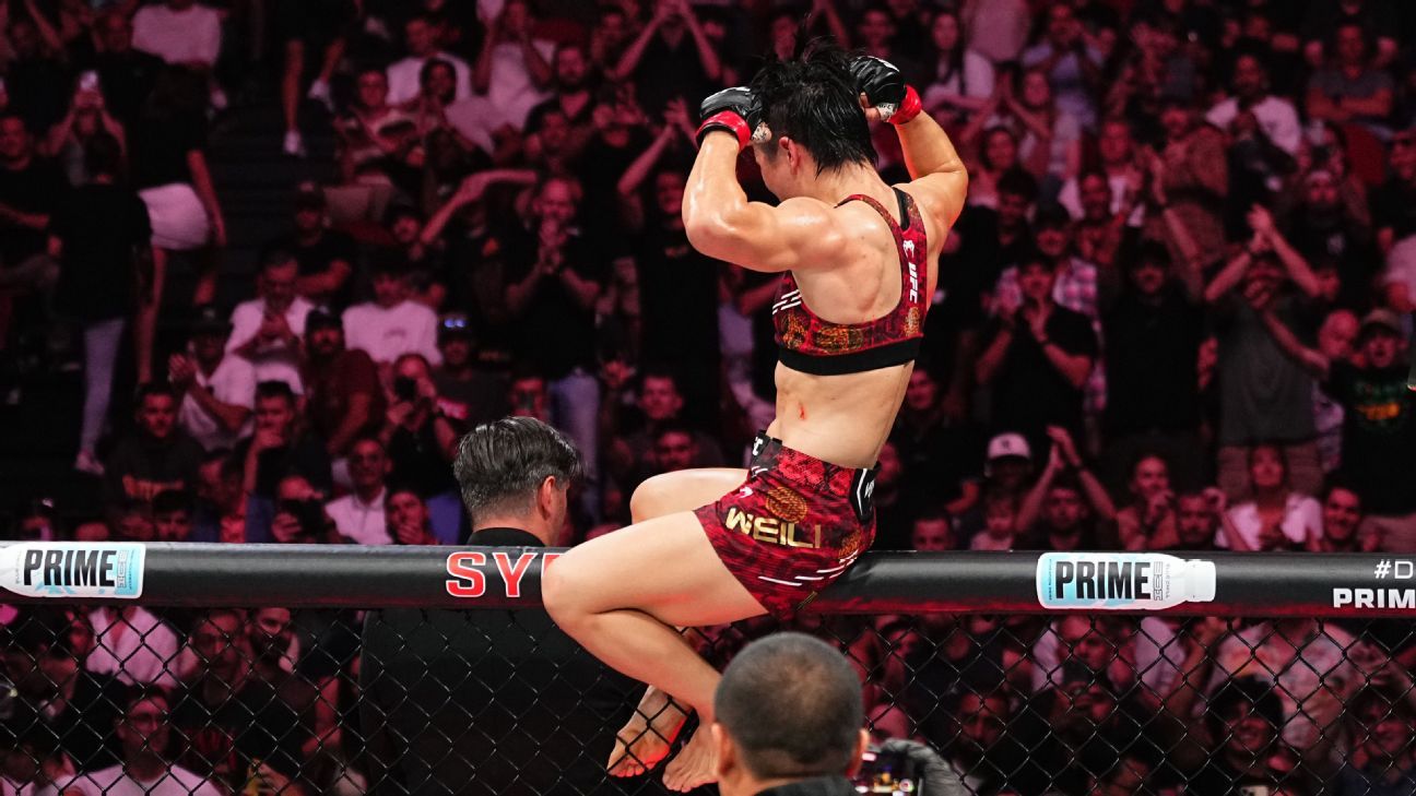 标明确的内 标明确的内